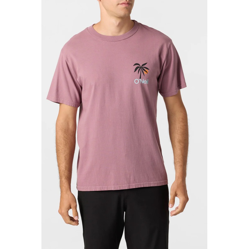O’NEILL OG DUSK TEE