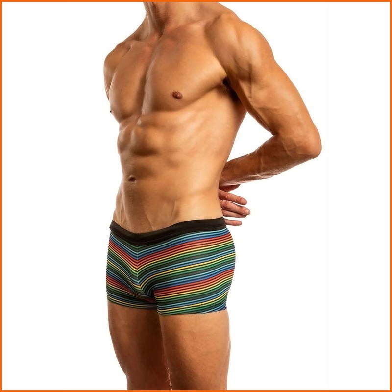Jack Adams Swimwear World Pride Bali Cut Swim Trunk