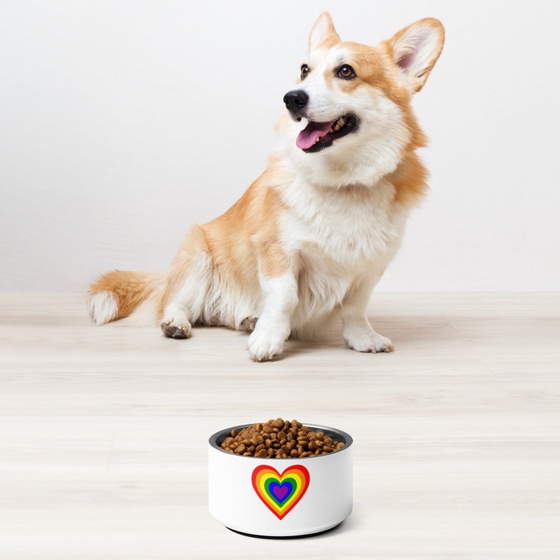 WTees Rainbow Heart Pet Bowl 18oz