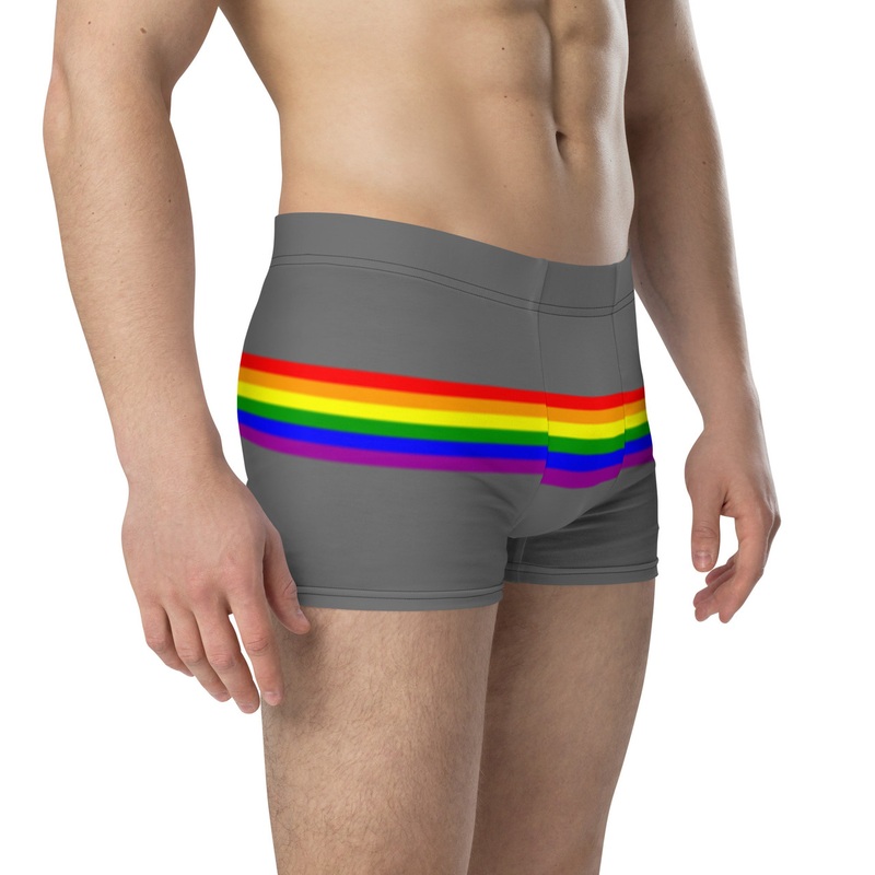 WTees Rainbow Stripe Trunk Boxer Briefs Grey