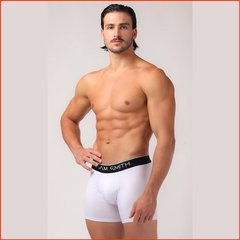 Adam Smith Basic Boxer Brief