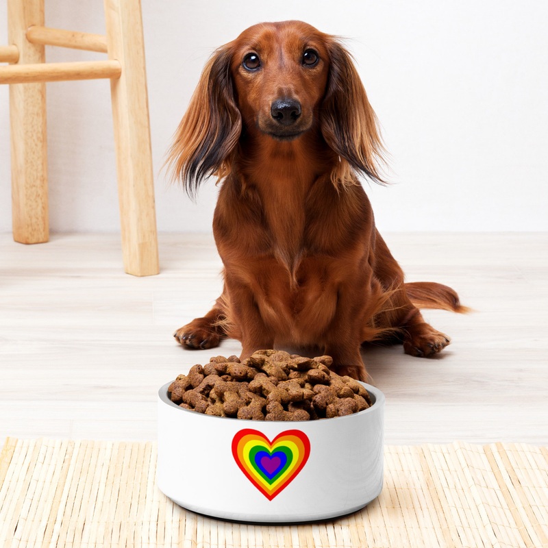 WTees Rainbow Heart Pet Bowl 32oz