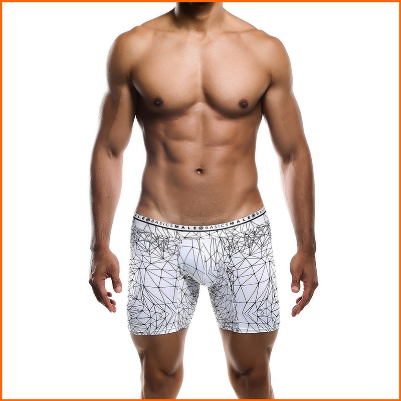 MaleBasics Spider Hipster Boxer Brief