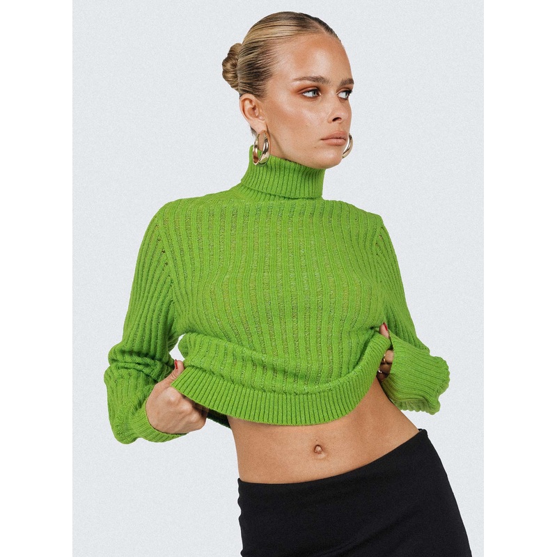 Mckilah Turtleneck Knit Sweater Green